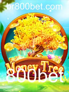 MoneyTree: O Jogo Que Está Transformando Apostas em Diversão Estratégica